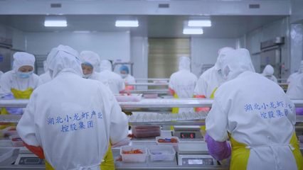 全國首個小龍蝦加工基地揭牌 全鏈賦能‘蝦’經濟，助力鄉村振興與技術推廣